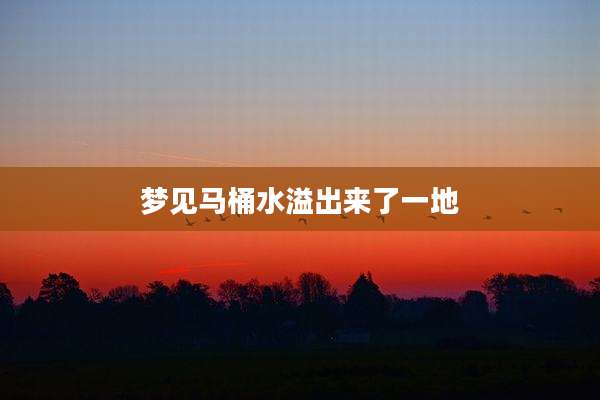 梦见马桶水溢出来了一地