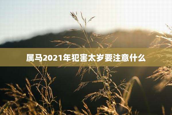 属马2021年犯害太岁要注意什么
