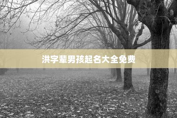 洪字辈男孩起名大全免费