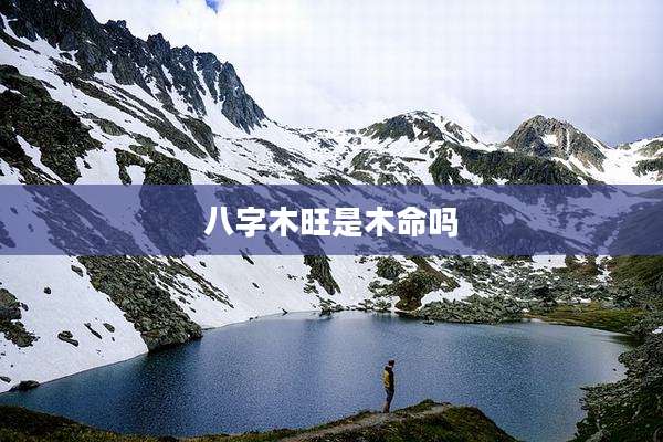 八字木旺是木命吗