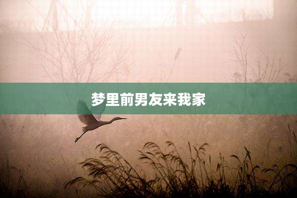 梦里前男友来我家