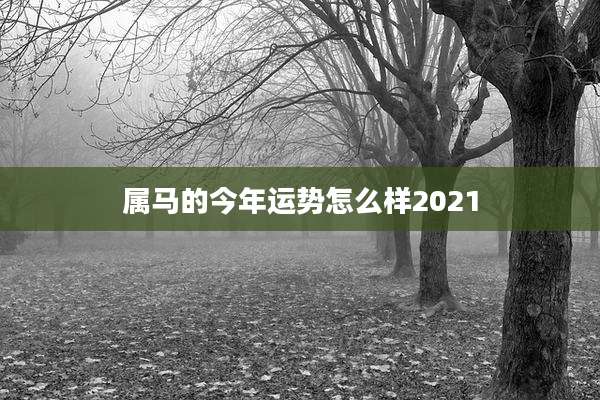 属马的今年运势怎么样2021
