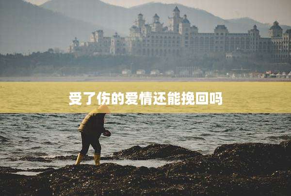 受了伤的爱情还能挽回吗