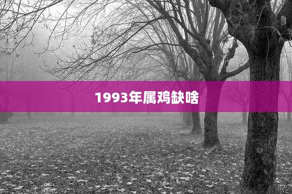 1993年属鸡缺啥