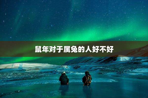 鼠年对于属兔的人好不好
