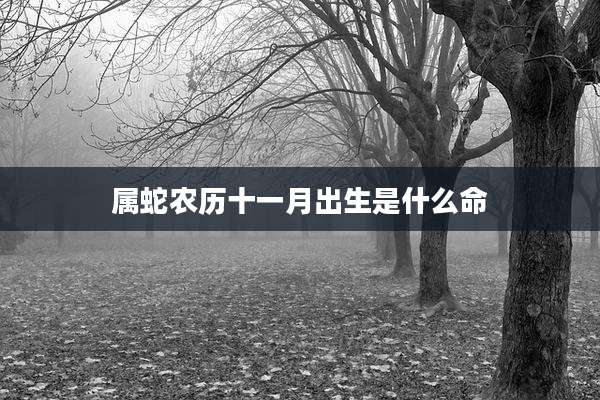 属蛇农历十一月出生是什么命