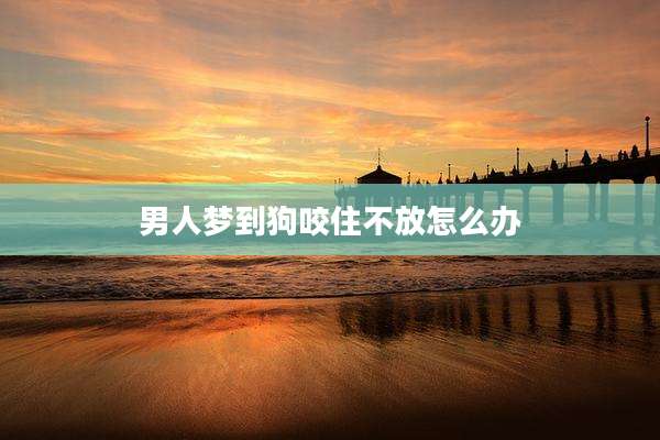 男人梦到狗咬住不放怎么办