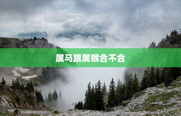 属马跟属猴合不合