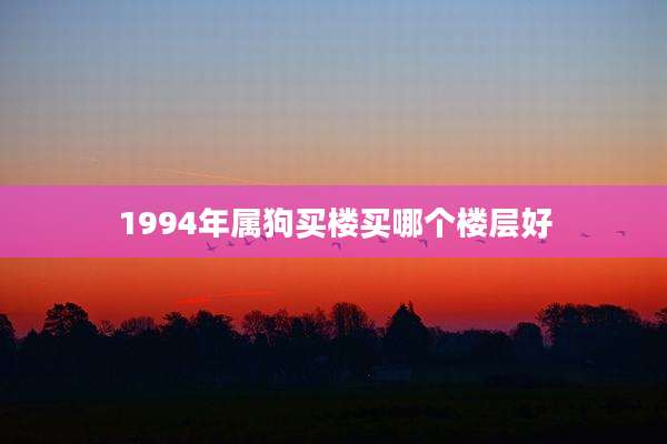1994年属狗买楼买哪个楼层好
