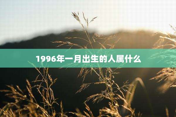 1996年一月出生的人属什么