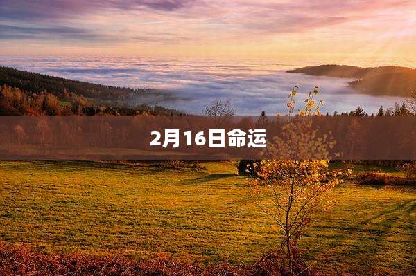 2月16日命运