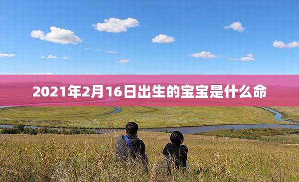 2021年2月16日出生的宝宝是什么命