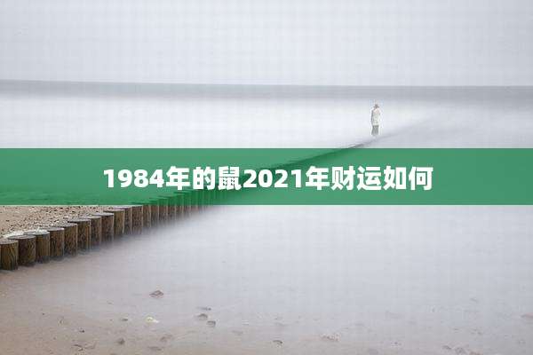 1984年的鼠2021年财运如何