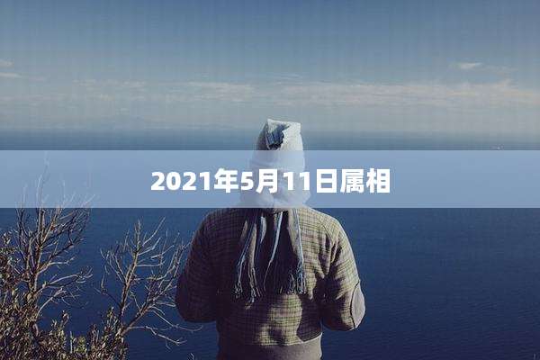 2021年5月11日属相