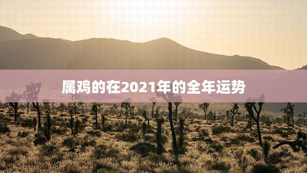 属鸡的在2021年的全年运势