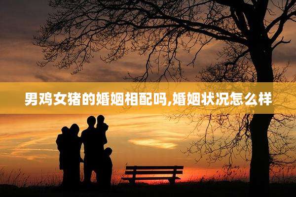 男鸡女猪的婚姻相配吗,婚姻状况怎么样