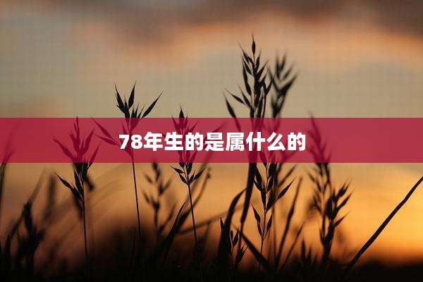 78年生的是属什么的
