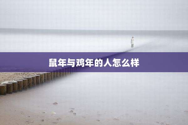 鼠年与鸡年的人怎么样
