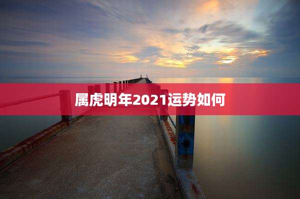 属虎明年2021运势如何