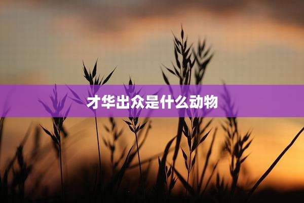 才华出众是什么动物