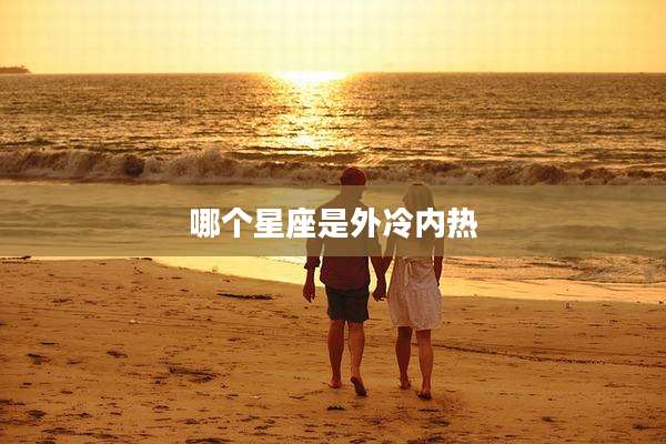 哪个星座是外冷内热