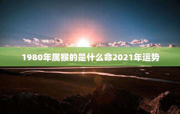 1980年属猴的是什么命2021年运势