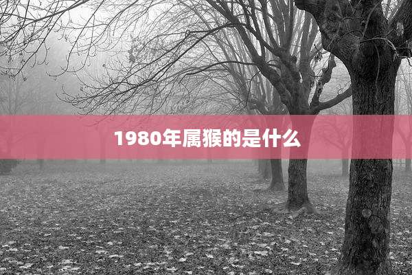 1980年属猴的是什么