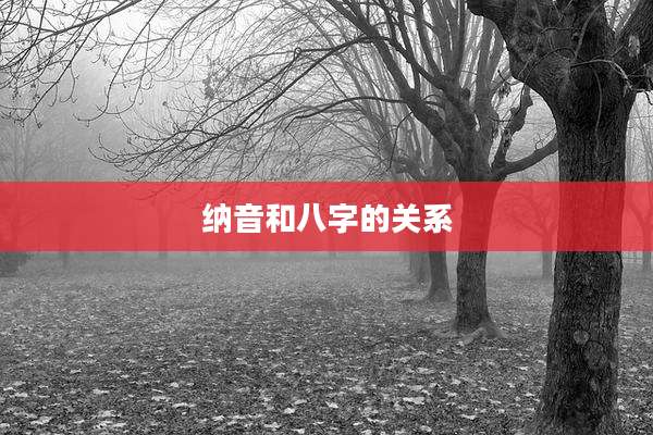 纳音和八字的关系