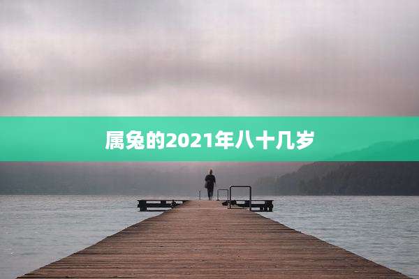 属兔的2021年八十几岁