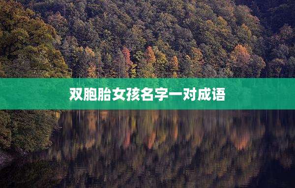 双胞胎女孩名字一对成语
