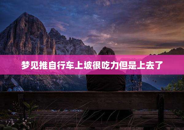 梦见推自行车上坡很吃力但是上去了