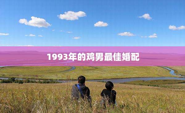 1993年的鸡男最佳婚配