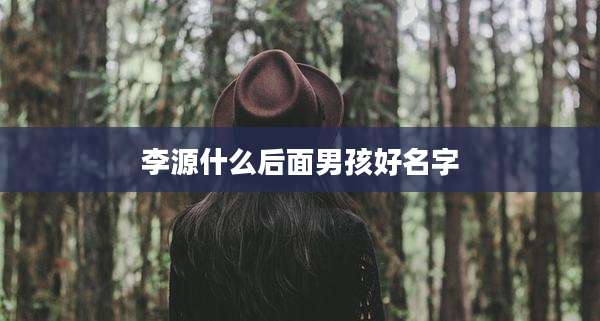 李源什么后面男孩好名字