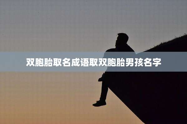 双胞胎取名成语取双胞胎男孩名字