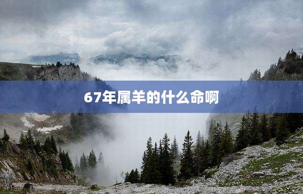 67年属羊的什么命啊