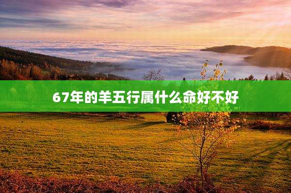 67年的羊五行属什么命好不好