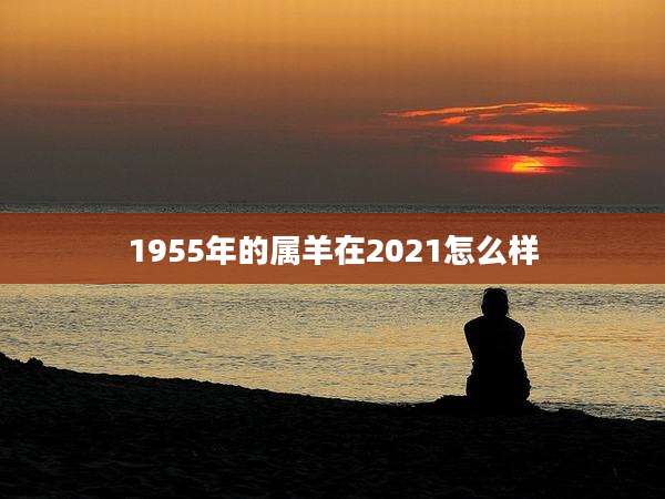 1955年的属羊在2021怎么样