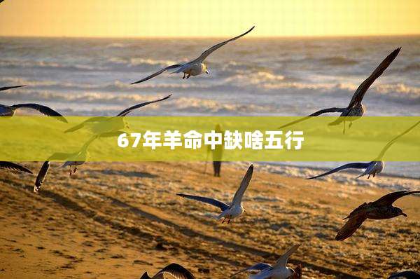 67年羊命中缺啥五行
