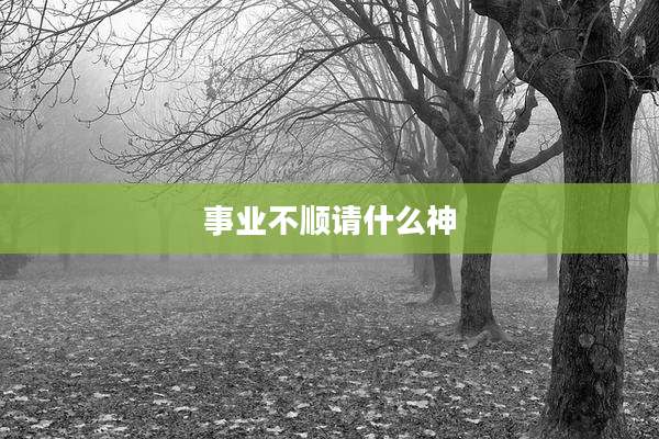 事业不顺请什么神