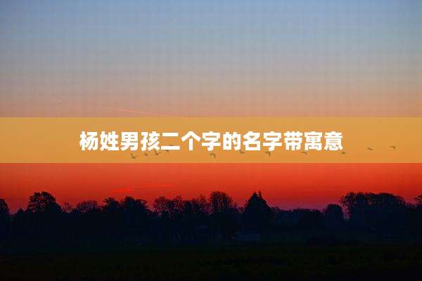 杨姓男孩二个字的名字带寓意