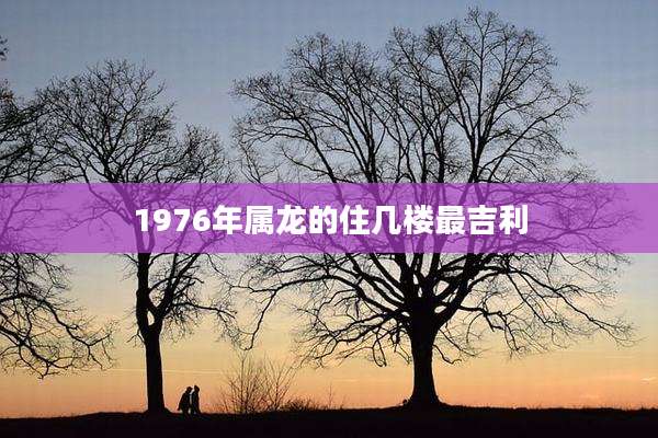 1976年属龙的住几楼最吉利