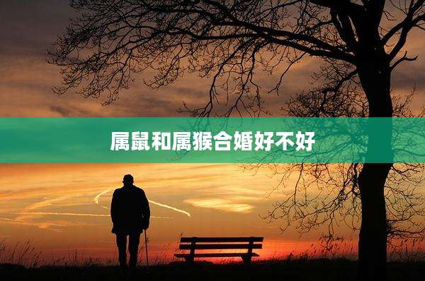 属鼠和属猴合婚好不好