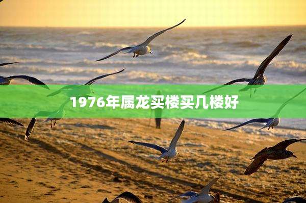 1976年属龙买楼买几楼好