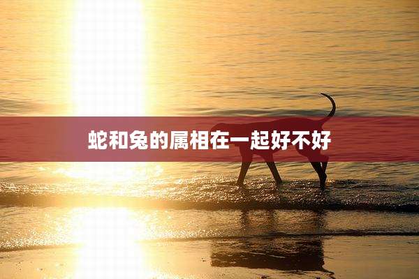 蛇和兔的属相在一起好不好