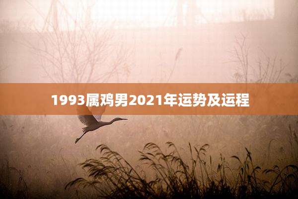 1993属鸡男2021年运势及运程