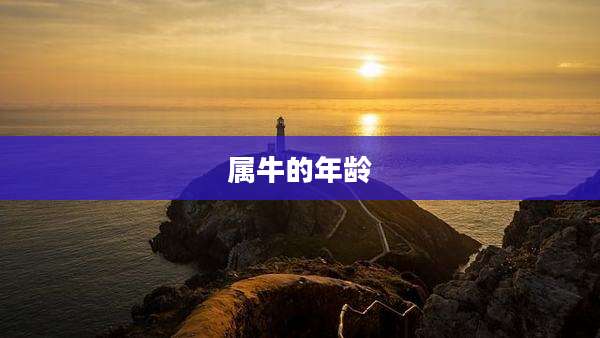 属牛的年龄