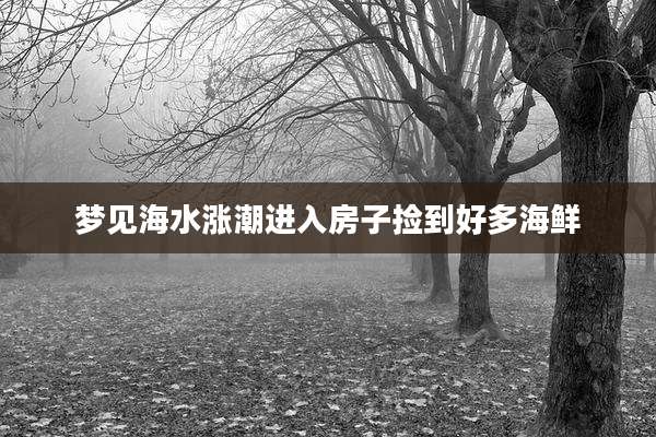 梦见海水涨潮进入房子捡到好多海鲜