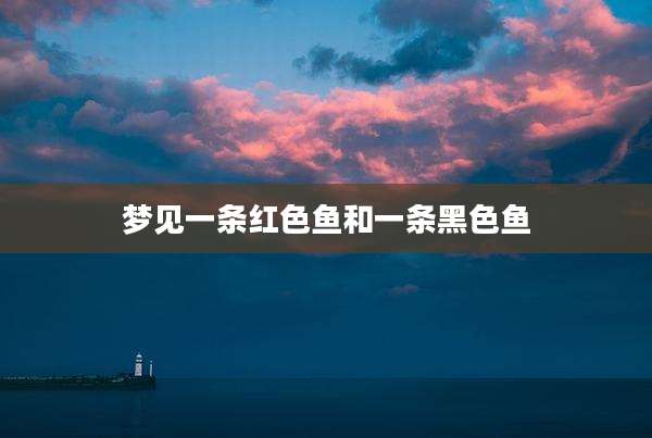 梦见一条红色鱼和一条黑色鱼