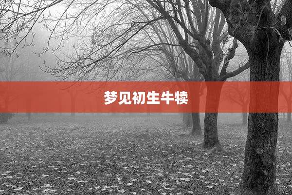 梦见初生牛犊