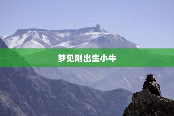 梦见刚出生小牛